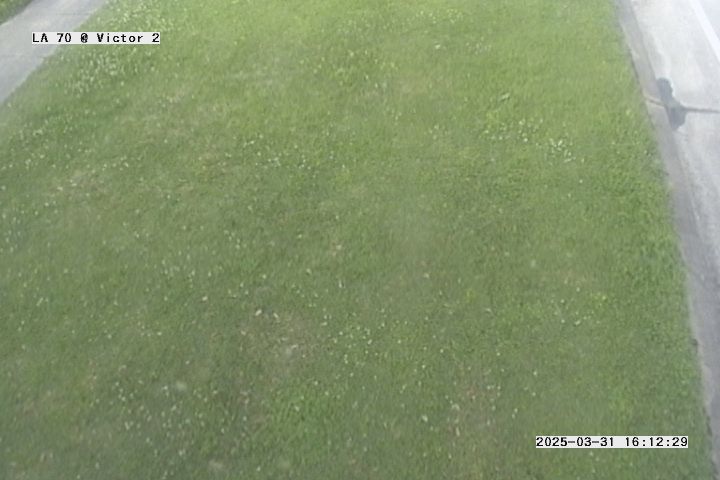 Webcam in Morgan City